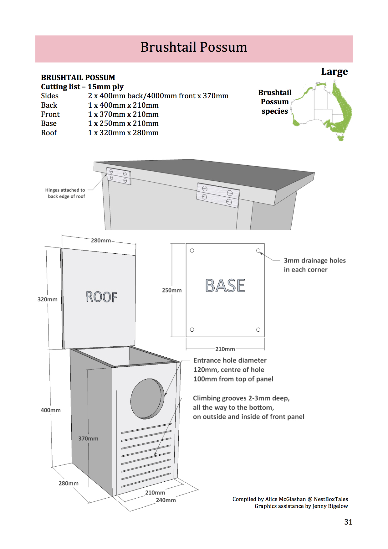 brushtail-possum-nest-box-tales